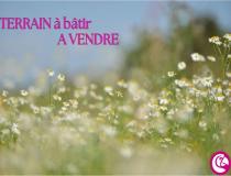 annonce vente terrain st laurent de la plaine 49290