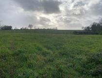 Vente terrain St Martin Lars En Ste Herm 85210 [4/7671779]