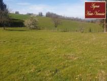 annonce vente terrain st martin terressus 87400