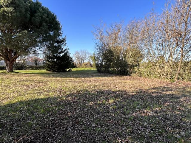 annonce vente terrain st mathurin 85150