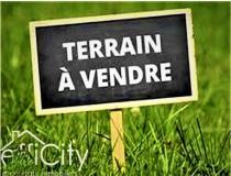 annonce vente terrain st paterne racan 37370