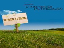 annonce vente terrain st point lac 25160