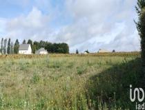 annonce vente terrain st prive 89220