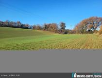 annonce vente terrain st sauvy 32270