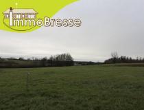 annonce vente terrain st trivier de courtes 01560