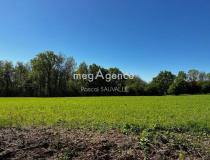 annonce vente terrain ste eulalie d ans 24640