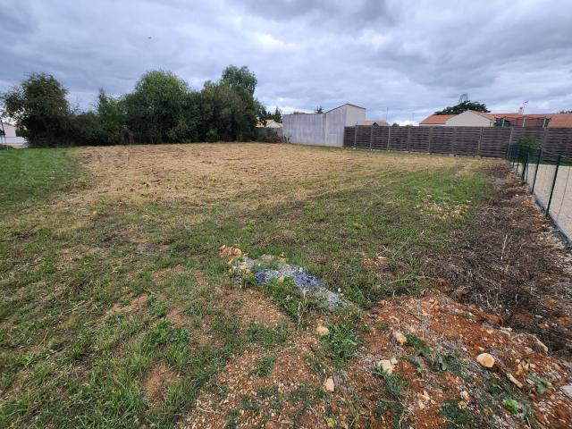 annonce vente terrain ste gemme la plaine 85400