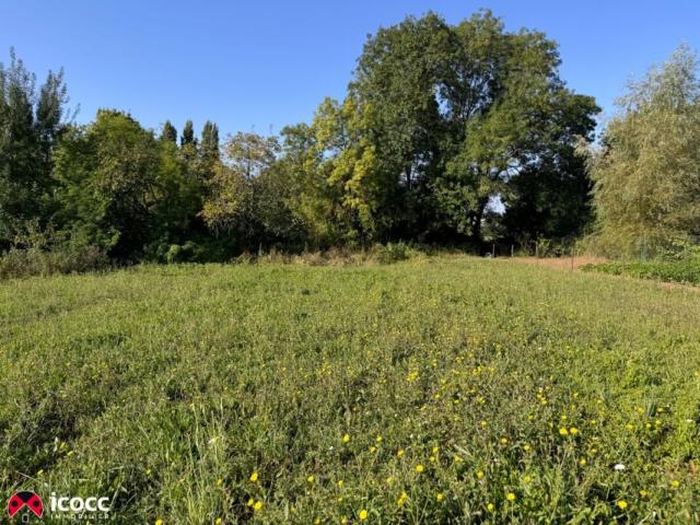 annonce vente terrain ste hermine 85210