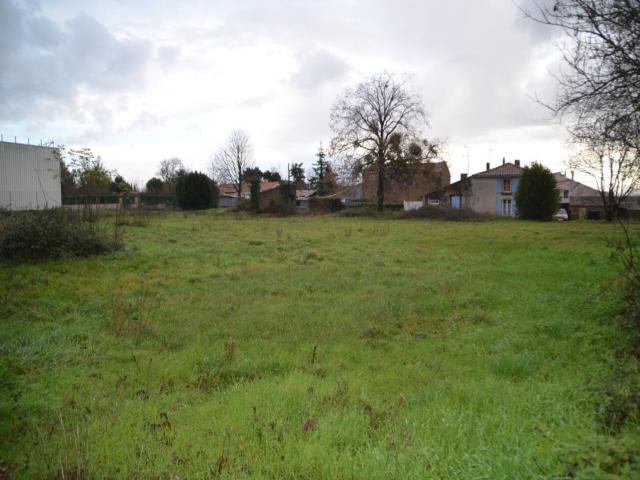 annonce vente terrain ste hermine 85210