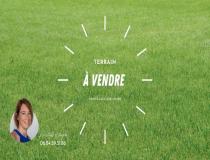 annonce vente terrain ste luce sur loire 44980