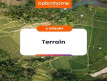 annonce vente terrain ste marie 35600