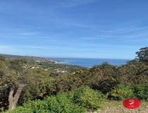 annonce vente terrain ste maxime 83120