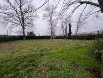 annonce vente terrain ste terre 33350