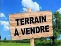 annonce vente terrain tahaa 98733