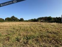 vente terrain Talmont St Hilaire - 7719863:1