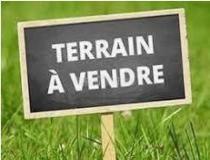 annonce vente terrain taputapuatea 98735