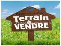 annonce vente terrain tavers 45190