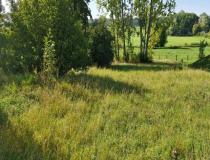 annonce vente terrain thaon les vosges 88150