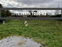 annonce vente terrain thetieu 40990