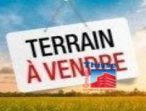 annonce vente terrain toahotu 98724