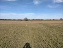 annonce vente terrain tonnay charente 17430