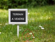 annonce vente terrain tournus 71700