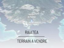 annonce vente terrain uturoa 98735