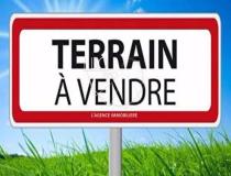 annonce vente terrain vaire 85150