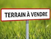 annonce vente terrain vaux 86700