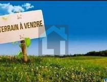 annonce vente terrain villedieu les poeles 50800