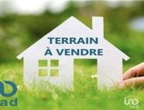 annonce vente terrain villemandeur 45700