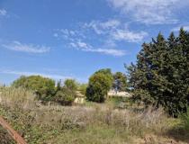 annonce vente terrain villeveyrac 34560