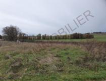 annonce vente terrain vincelles 89290