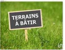 annonce vente terrain vineuil 41350