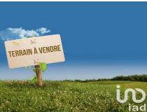 annonce vente terrain zutkerque 62370